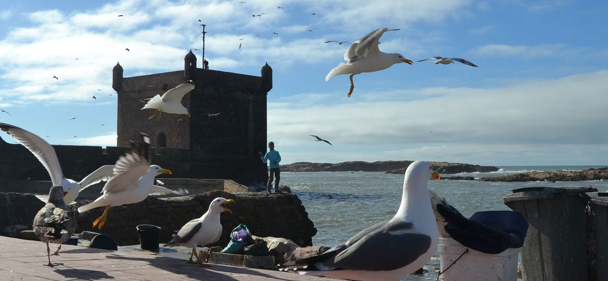 essaouira