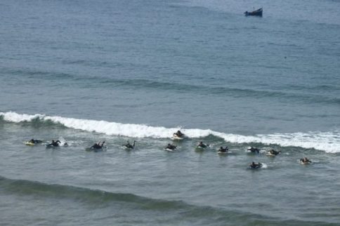 6-hour surf course in Essaouira: group lessons for beginners and intermediates